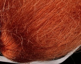 Fine Trilobal Wing Hair, Red Cinnamon